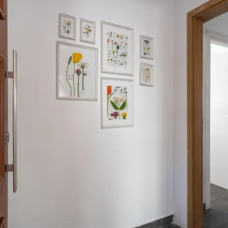 Appartement Fiesta 1-bedroom In